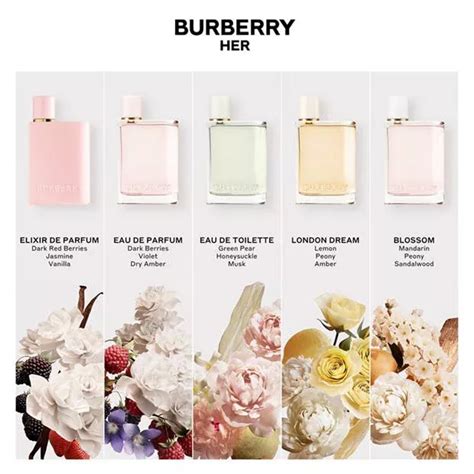 london burberry for her|burberry london for women fragrantica.